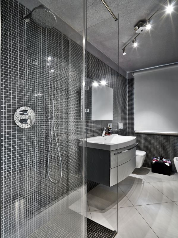 Elegant Shower Area